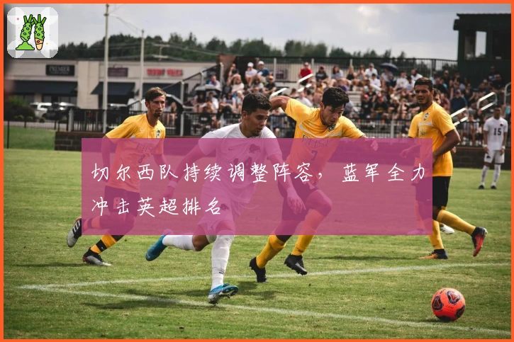 切尔西队持续调整阵容，蓝军全力冲击英超排名