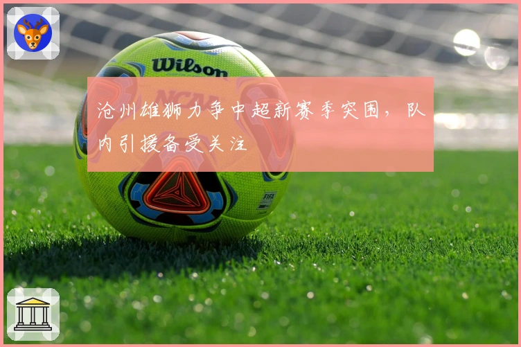 沧州雄狮力争中超新赛季突围，队内引援备受关注