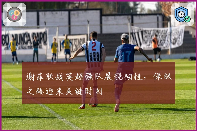 谢菲联战英超强队展现韧性，保级之路迎来关键时刻