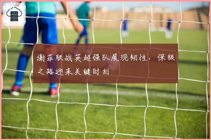 谢菲联战英超强队展现韧性，保级之路迎来关键时刻